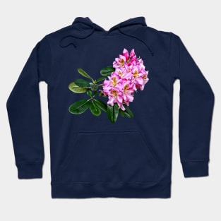 Pale Pink Rhododendron Hoodie